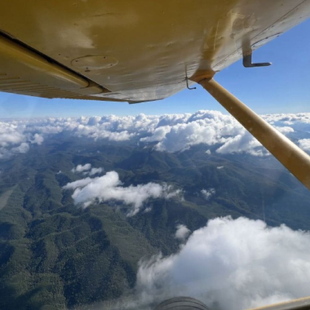 INSTRUMENT RATING